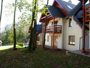Гостиница Domek Karpatka 1 przy wyciągu narciarskim  Карпач